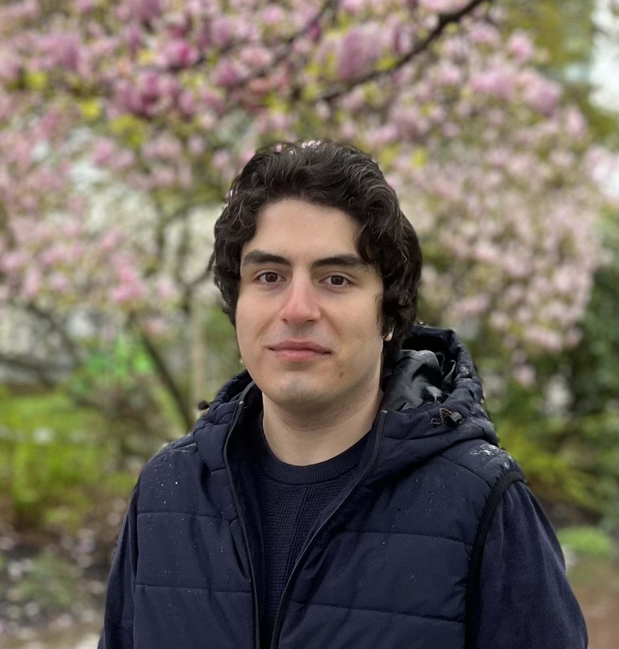 Portrait of Ali Behrouz